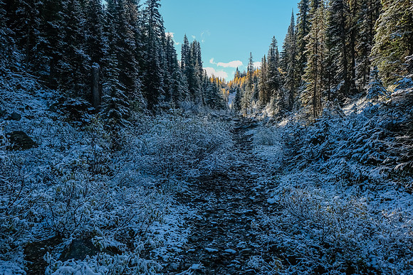 Hiking to Talc Lake on a carpet of fresh snow.