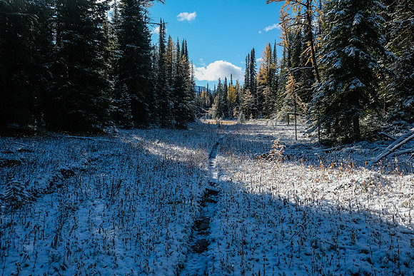 Hiking to Talc Lake on a carpet of fresh snow.