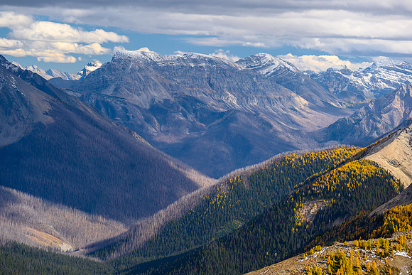 Simpson Ridge and Nestor Peak (R).