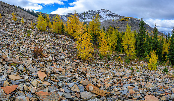 Hawk Ridge North.