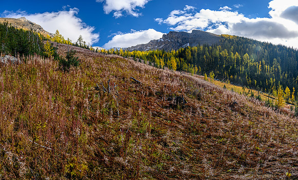 Ascending the lower SW slopes of Haiduk Peak.
