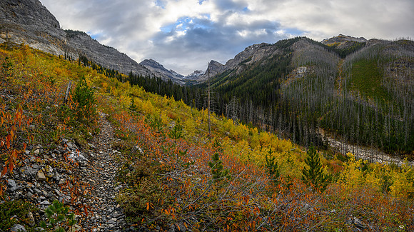 Hiking the Hawk Creek / Ball Pass trail.