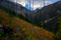 Hiking the Hawk Creek / Ball Pass trail.