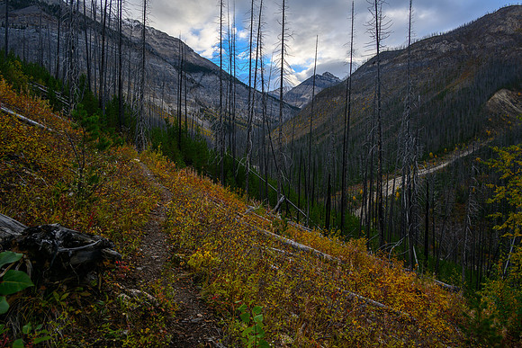 Hiking the Hawk Creek / Ball Pass trail.
