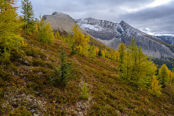 Traversing towards a distant Haiduk Peak.
