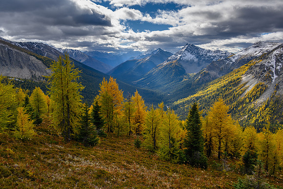 Views along Hawk Ridge down the upper Verdant Creek valley.