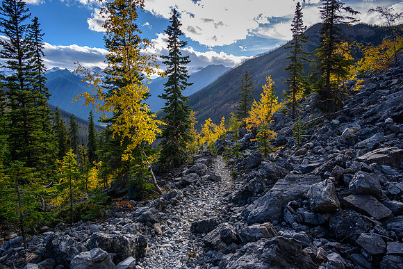 Hiking down the Ball Pass / Hawk Creek Trail.