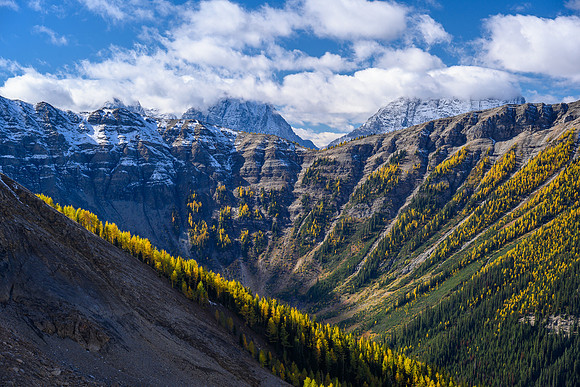 Larches, Hawk Ridge, White Tail and Verendrye.