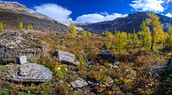 Ascending the lower SW slopes of Haiduk Peak.