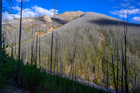 Hiking down the Ball Pass / Hawk Creek Trail. North Hawk Ridge above.