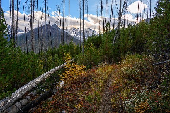 Hiking down the Ball Pass / Hawk Creek Trail.