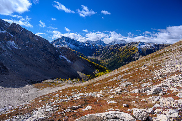 Larches, Hawk Ridge, White Tail and Verendrye behind me.