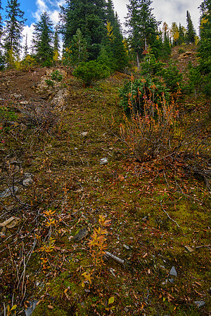 Scrambling up the steep access slope.