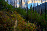 Hiking the Hawk Creek / Ball Pass trail.