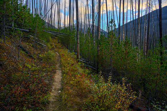 Hiking the Hawk Creek / Ball Pass trail.