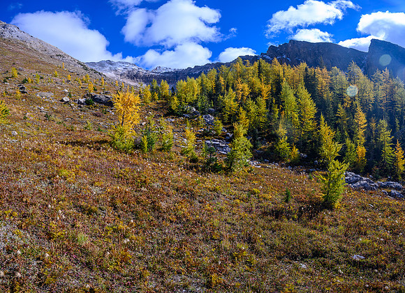 Ascending the lower SW slopes of Haiduk Peak.