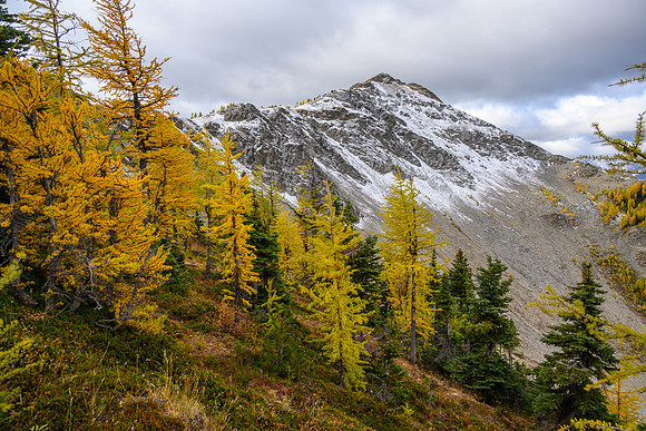 Hawk Ridge North.