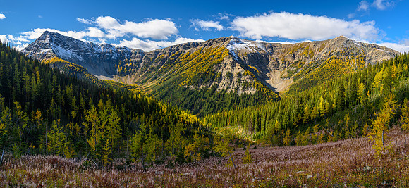 Views back to Hawk Ridge.