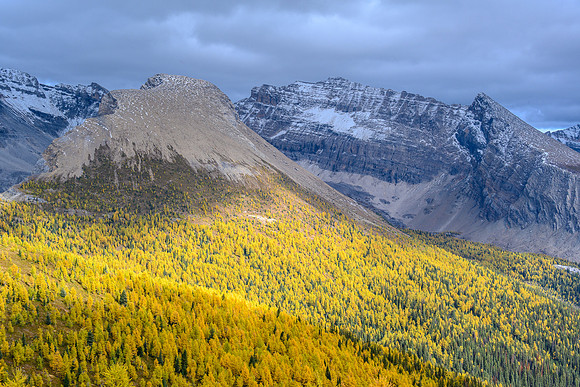 Larches and Haiduk Peak.