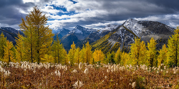 Views along Hawk Ridge down the upper Verdant Creek valley.