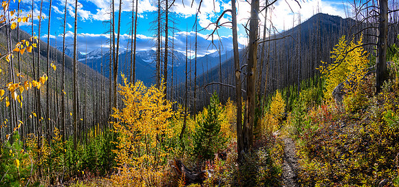 Hiking down the Ball Pass / Hawk Creek Trail.