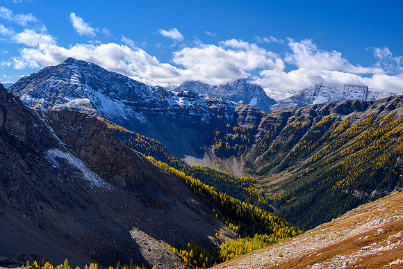 Larches, Hawk Ridge, White Tail and Verendrye behind me.