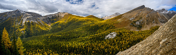 Traversing larch forest back to the North Hawk Ridge col at distant c-r.