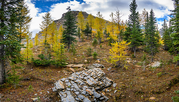 At the top of the steep access slope.