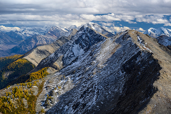 Looking south down Hawk Ridge to Mount Shanks.