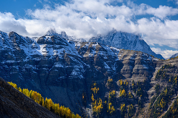 Larches, Hawk Ridge, White Tail and Verendrye.