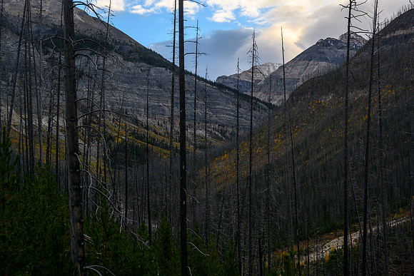 Hiking the Hawk Creek / Ball Pass trail.