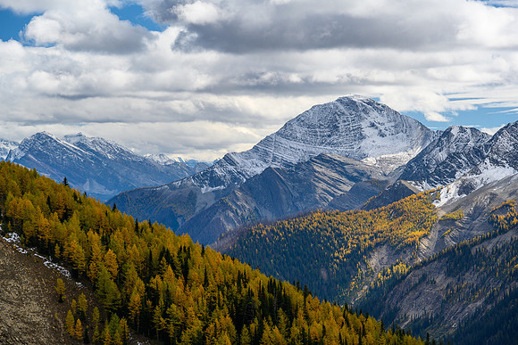 Mount Shanks.
