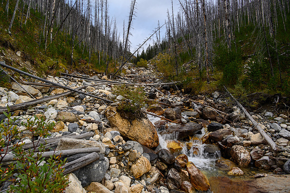 Hiking the Hawk Creek / Ball Pass trail.