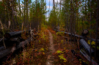 Hiking the Hawk Creek / Ball Pass trail.