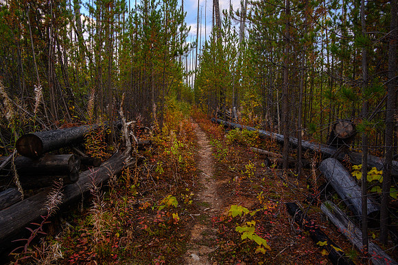 Hiking the Hawk Creek / Ball Pass trail.