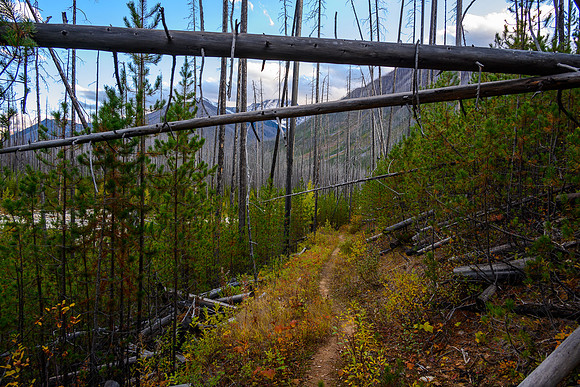 Hiking down the Ball Pass / Hawk Creek Trail.