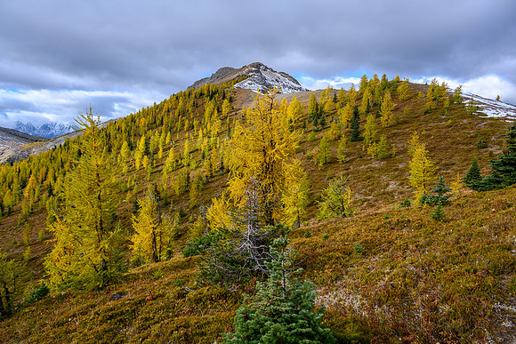 Hawk Ridge North.