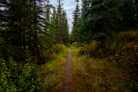 Starting out along the Hawk Creek / Ball Pass trail along hwy 93.