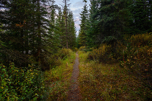 Starting out along the Hawk Creek / Ball Pass trail along hwy 93.