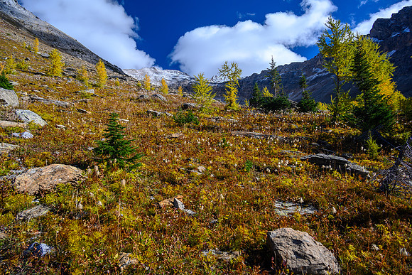 Ascending the lower SW slopes of Haiduk Peak.