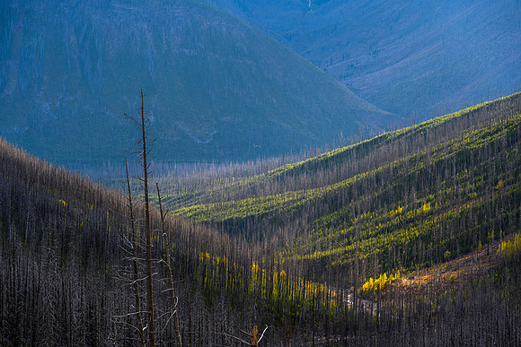 Hiking down the Ball Pass / Hawk Creek Trail.