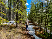Hiking back down the Ram River Trail.