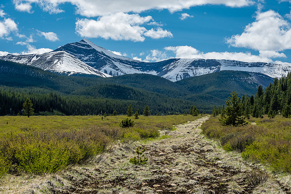 Views back to Whelk Peak.