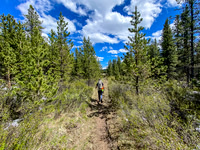 Hiking back down the Ram River Trail.