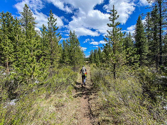 Hiking back down the Ram River Trail.