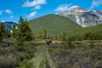 A horse outfitter rides back along the Ram River.