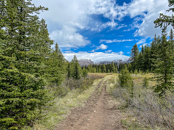 Hiking the South Ram River Trail back to camp.