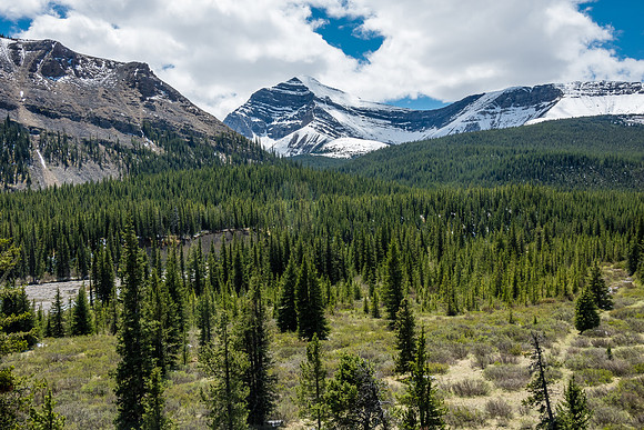 Views back to Whelk Peak.