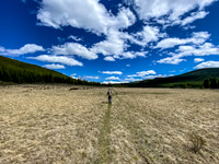Hiking back through open meadows along the South Ram River Trail.
