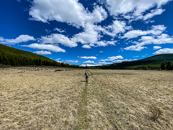 Hiking back through open meadows along the South Ram River Trail.